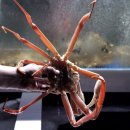 송림수산 이미지