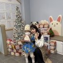 12월 지역사회연계 [ 거제1동행정복지센터 - 라면트리기부🎄] 이미지