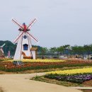 대부바다향기 테마파크 이미지