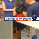 18시신돈 이미지