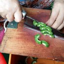 땅끝농장 이미지