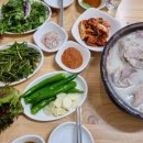 동마산 수육 네이버블로그