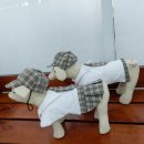 중앙미싱 이미지