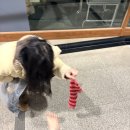 1월 :: 두쫀쿠 만들기, 홍천 스노위랜드, 생일, 동대문 볼꾸