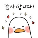 헤어스투디오 리필