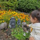 하늘노래방 | 제주 베이힐풀앤빌라 허니문빌라 내돈내산: 수영장부터 노래방까지 완벽한 힐링