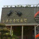 무주곤충박물관 이미지