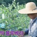 큰골농장 이미지