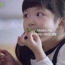 이영애농장 이미지