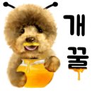 라라펫 이미지