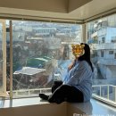 네버 엔딩 웨이브 이미지