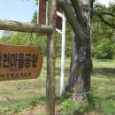 신현2리 정현마을숲 | 문경새제 가고자 하시는 분들~~~