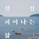 섬섬 이미지