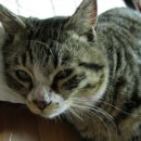 신주공3단지 이미지