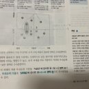 [공지] 제49회 ADSP 합격후기