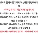 용성섬유 이미지