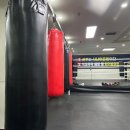 수원복싱체육관 이미지
