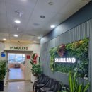 오이랜드 | 부산명지 샤브랜드 후기