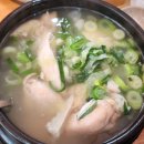 토정삼계탕 | 천안 맛집 토정삼계탕 먹고 기력보충 내돈내산