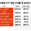 배당소득 분리과세 기대…조정장에도 돈 쌓이는 &#39;고배당 ETF&#39; 이미지