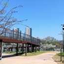 고덕초등학교 건너편 이미지