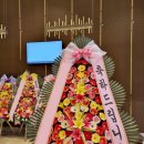 꽃썸플라워