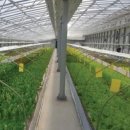 이연숙농장 이미지