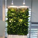 작은숲도서관 이미지