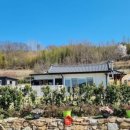 꿈꾸는 가 이미지