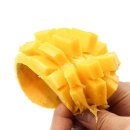 망고 - 창원시 진해구 웅동로 73 | 망고