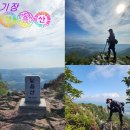 기장군청소년수련관 | 부산 기장 달음산 청소년수련관 등산 코스