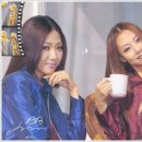 하늘땅별땅 이미지