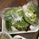 부뚜막당동족발 | 군포당동맛집 부뚜막족발 포장 방문후기