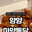 양양마약통닭