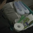 슬기로운 초록생활 이미지