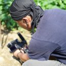 신전원일기 이미지