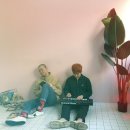조이파크 티브이데일리