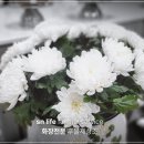 울산하늘공원 이미지