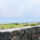 애월이디 이미지