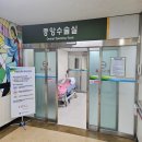 가톨릭대학교 의정부성모병원 | 담낭절제술 로봇수술 후기 (의정부성모병원)｜비용·통증·회복 식단 후기