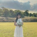 비테셴 | 비테셴 어패럴 / anniversary dress 구매 후기
