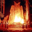 보헤미안 이미지