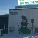 어느날성주 이미지