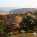 함안 무기리 주씨고가 이미지