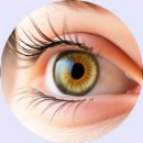 약초활용 생활건강법 이미지