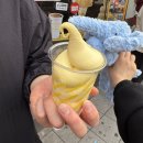 망고뽑기방 | [신림] 신림역 디저트 카페 “고망고 신림점”, 젤라또 처럼 쫀독한 아이스크림