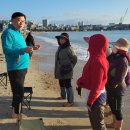 일산해수욕장 이미지