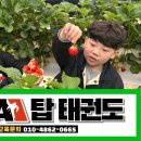 MTA 탑 태권도 이미지