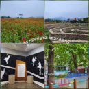 충주세계무술박물관 | 충주 탄금공원 나무숲놀이터 돌미로원 세계무술박물관 여행 가볼만한곳