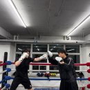 해운대 강남복싱클럽 이미지